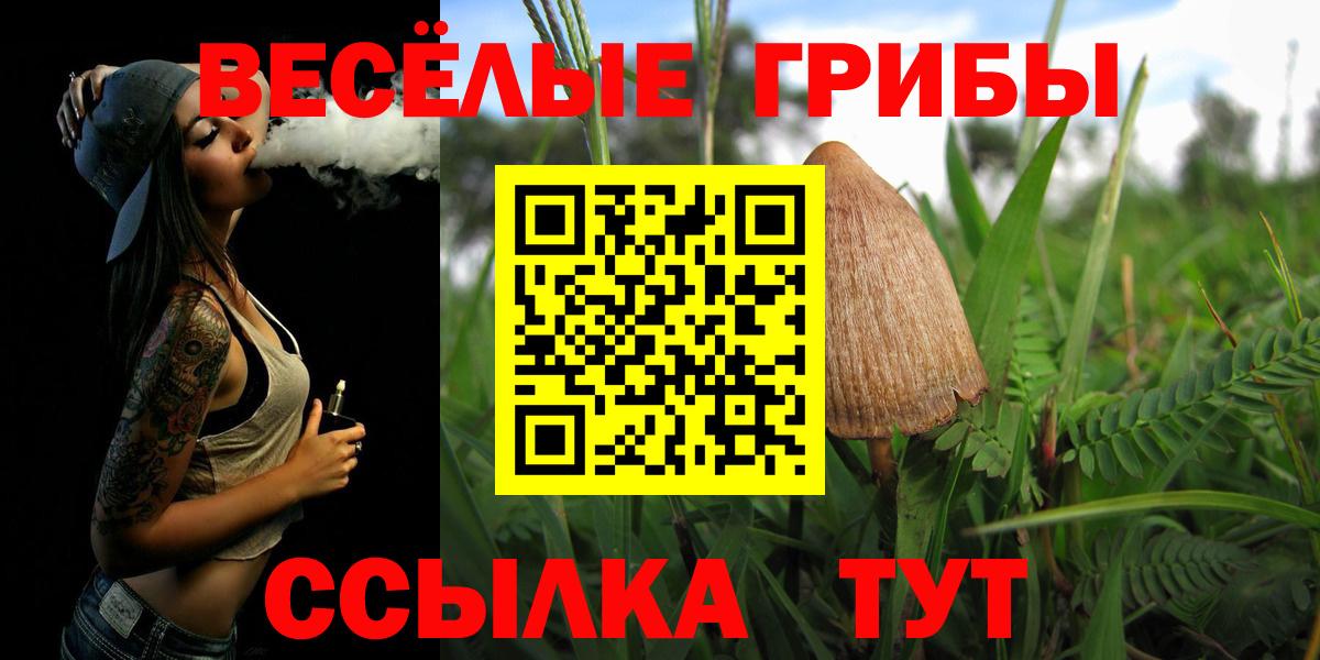 Псилоцибиновые грибы Magic Shrooms  Вход с VPN  Симферополь 